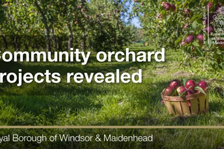 Community orchard