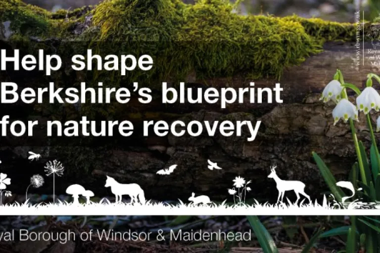 Help shape Berkshire's blueprint for nature recovery