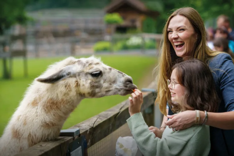 Image of a foster carer and child