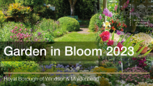Garden in Bloom 2023
