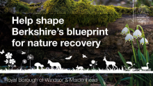 This image shows a natural scene. Help shape Berkshire's blueprint for nature recovery