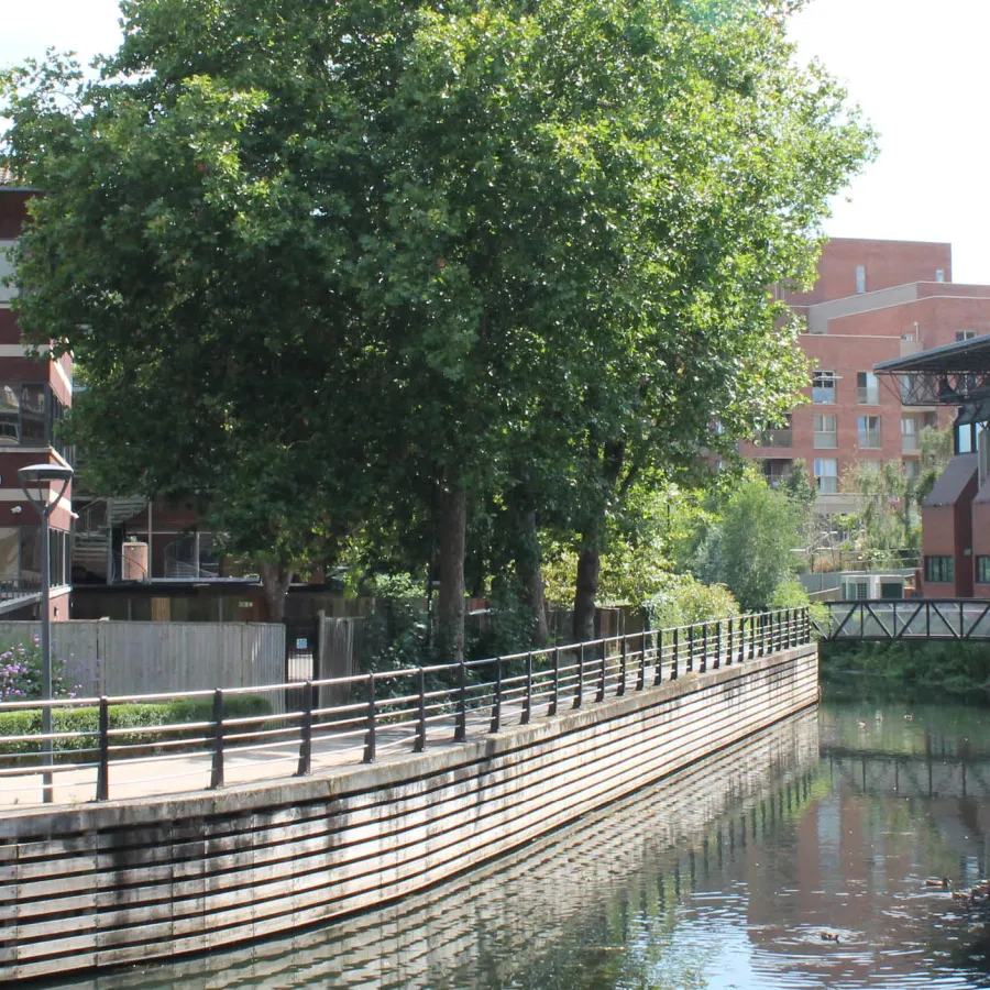 Maidenhead neighbourhood, canal with a tree
